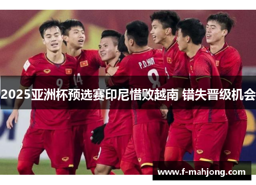 2025亚洲杯预选赛印尼惜败越南 错失晋级机会